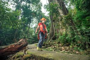 BIB: 
                            <button type="button" onclick="openModal(24810019)" class="btn btn-primary btn-sm float-right btn-popup" data-toggle="modal" data-target=".modal-high-quality">
                        <i class="fas fa-shopping-cart"></i> Add to Cart
                    </button>
                                            <button type="button" onclick="isThisMe(24810019, true)" class="btn btn-success btn-sm float-right btn-popup btn-isme hidden" data-toggle="tooltip" data-placement="bottom" title="นี่คือรูปของคุณใช่ไหม คลิกที่นี่เพื่อเอาเข้าอัลบั้ม">
                        <i class="fas fa-plus"></i> Add to album
                    </button>
                    <button type="button" onclick="isThisMe(24810019, false)" class="btn btn-warning btn-sm float-right btn-popup btn-isnotme hidden">
                        <i class="fas fa-ban"></i> Remove from album
                    </button>